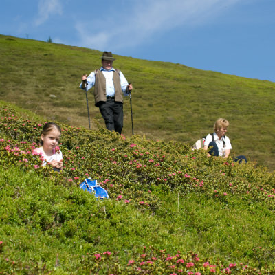 Angebot Spengerwirt: Wanderurlaub im Lipizzanerland | © Gasthof Spengerwirt