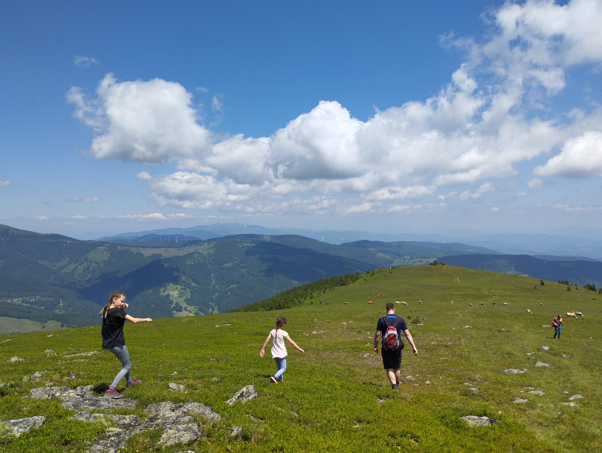 Wandern auf der Hirschegger Alm